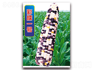 ��Ŵһ̖-Ŵ���׷N��-�A��N�I