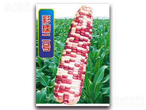 ��Ŵ��̖-Ŵ���׷N��-�A��N�I