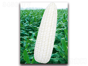 �fŴ102-Ŵ���׷N��-�A��N�I