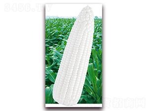 �fŴ2013-Ŵ���׷N��-�A��N�I