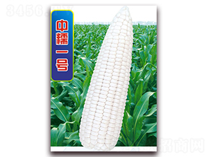 ��Ŵһ̖-Ŵ���׷N��-�A��N�I