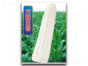 �fճ��̖-Ŵ���׷N��-�A��N�I