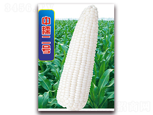 ��Ŵ��̖-Ŵ���׷N��-�A��N�I