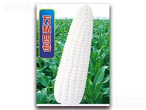 �fճ��̖-Ŵ���׷N��-�A��N�I