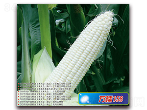 �fŴ158-Ŵ���׷N��-�A��N�I