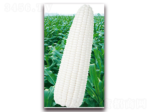 �fŴ2000-Ŵ���׷N��-�A��N�I