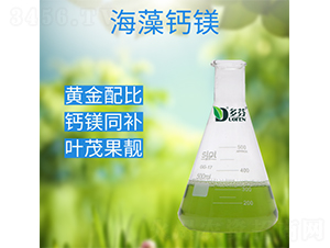 �����}�V-����r�I