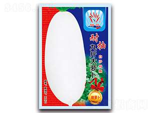 �ͳ�Ž���}��-�}���N��-���ܷN�I(y��)