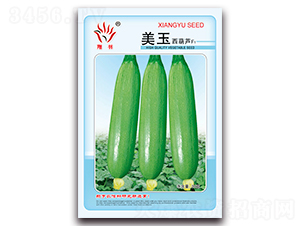 ���������J-�����J�N��-���ܷN�I