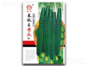 �������S��-�S�ϷN��-���ܷN�I