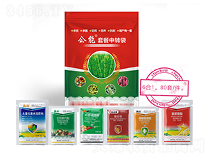 ����߮a�ײͣ�6��1��-����-�����