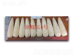 ��Ŵ����̖��15�괺¶�أ�-Ŵ���׷N��-���ܷN�I