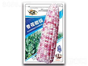 �㻨��Ŵ-Ŵ���׷N��-���ܷN�I