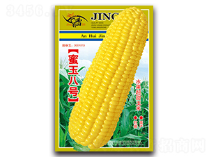 �����̖-�����׷N��-���ܷN�I