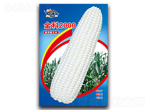 ���2000-Ŵ���׷N��-���ܷN�I