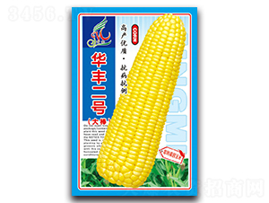 �A�S��̖���-�����׷N��-���ܷN�I