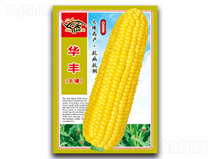 �A�S���-�����׷N��-���ܷN�I