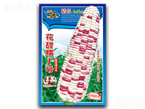 ����Ŵһ̖-Ŵ���׷N��-���ܷN�I