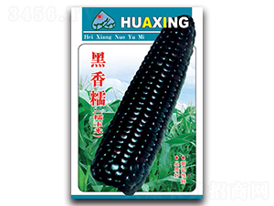 ����Ŵ-Ŵ���׷N��-���ܷN�I