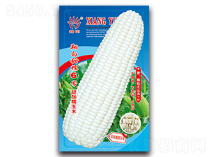 �����Ŵ6̖-Ŵ���׷N��-���ܷN�I(y��)