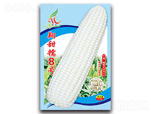 ����Ŵ8̖-Ŵ���׷N��-���ܷN�I(y��)