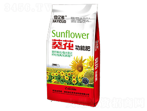 �������ܷ�-�у|��