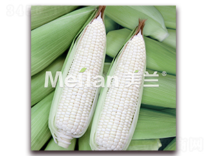 ����Ŵ11̖-Ŵ���׷N��-�G��