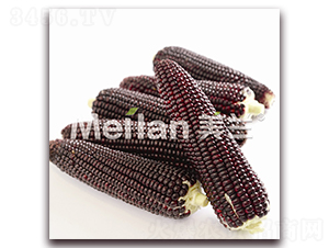 �ڼ���Ŵ304-��Ŵ���׷N��-�G��