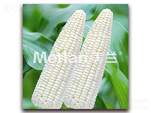 �������Ŵ17̖-��Ŵ���׷N��-�G��