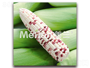 �������Ŵ16̖-��Ŵ���׷N��-�G��