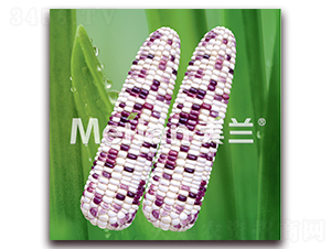 �������Ŵ5̖-��Ŵ���׷N��-�G��