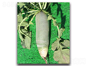 ���}��һ̖-�}���N��-���߷N�I(y��)