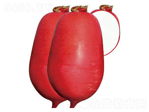 ������t1̖-�}���N��-���߷N�I(y��)