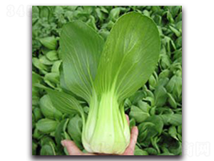 ����1̖-�Ͳ˷N��-���߷N�I