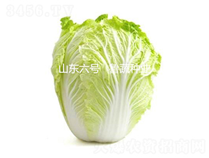 ɽ�|��̖(h��o)-�ײ˷N��-���߷N�I(y��)