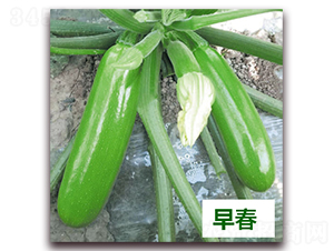 ����37̖-�����J�N��-����N��