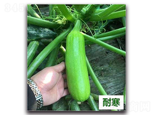 ����28̖-�����J�N��-����N��