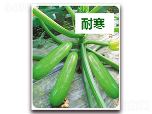 ����18̖-�����J�N��-����N��