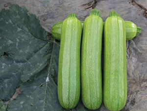 ����615-�����J�N��-����N��