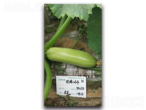 ����264-�����J�N��-����N��