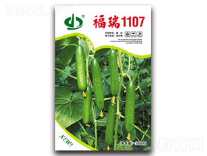 ����1107-�S�ϷN��-����N��