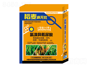 50%���宐������-�������o�n-�￡�ʘI