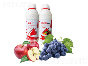 ֲ�����L�{����-���ܼtAB�b-���{��