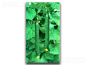 ��������һ̖-�S�ϷN��-��r�I