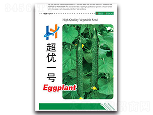 ����һ̖-�S�ϷN��-��r�I