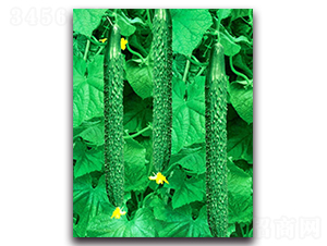 ����������-�S�ϷN��-��r�I