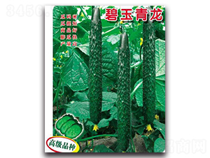 ��������-�S�ϷN��-��r�I