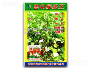 ���s�࿹��-�޻��N��-�(y��u)�r(n��ng)�I(y��)