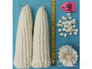 ����Ŵ3̖-���׷N��-�׺ͷN�I(y��)