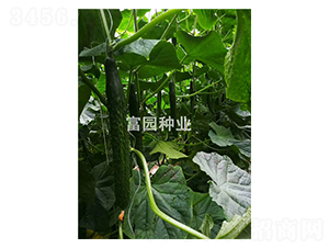 ���L1̖-�S�ϷN��-���@�N�I